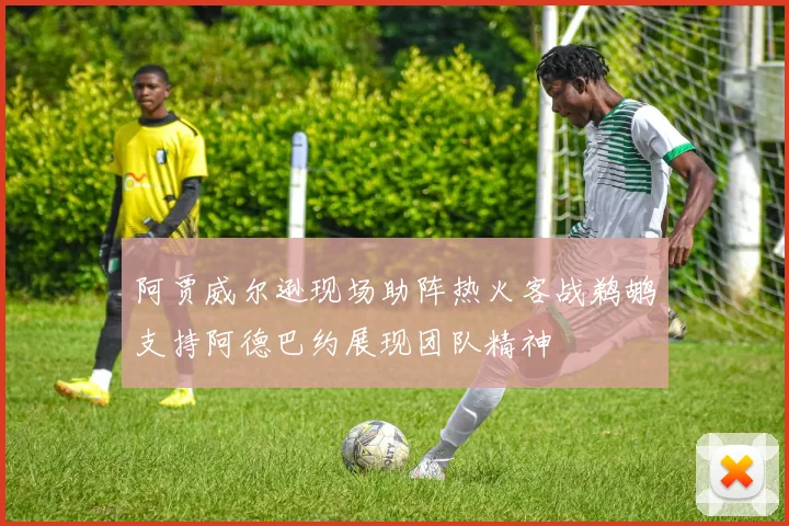 阿贾威尔逊现场助阵热火客战鹈鹕支持阿德巴约展现团队精神