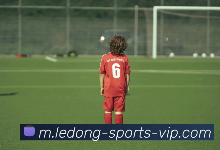 乐动体育APP 体育赛事宣传图